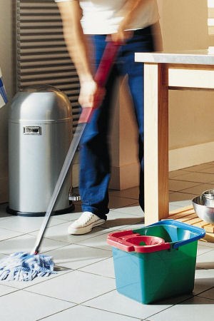 Domestic cleaning1