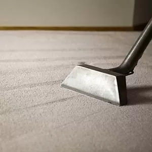 Carpet Cleaning Service