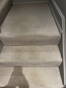 london carpet cleaning company 10 rotated