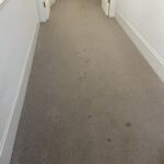 london carpet cleaning company 17 rotated