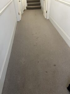 london carpet cleaning company 17 rotated