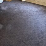 london carpet cleaning company 22 rotated