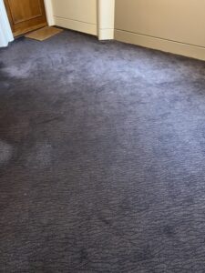 london carpet cleaning company 22 rotated