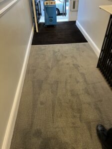 london carpet cleaning company 37 rotated