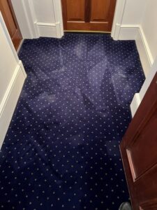 london carpet cleaning company 40 rotated