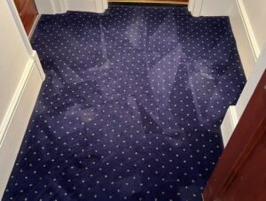 london carpet cleaning company 50