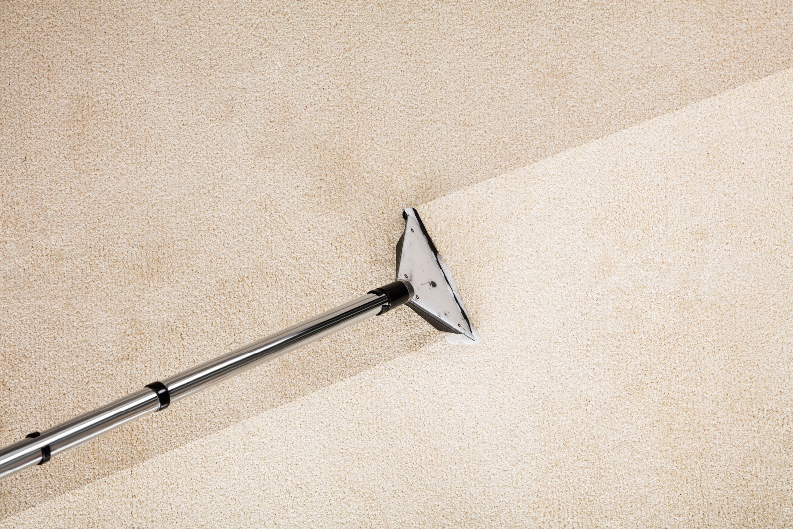 Domestic Carpet Cleaning large